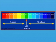 Acidity and alkalinity
