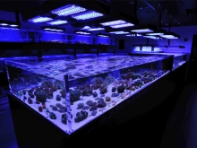 Marine Lighting Guide