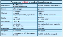 Reef Tank Water Parameters