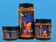 What Are Phosphates?