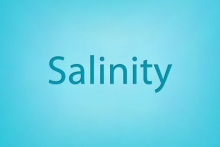Salinity