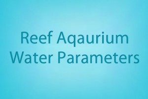 Reef Aquarium Water Parameters