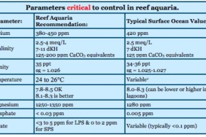 Reef Tank Water Parameters