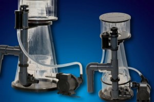 What Is Protein Skimming and How Does It Work