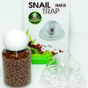 snail trap
